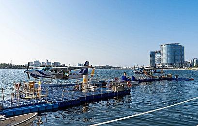 传言称任天堂直面会或将于明天举行